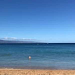 Meet your Posher, Ani